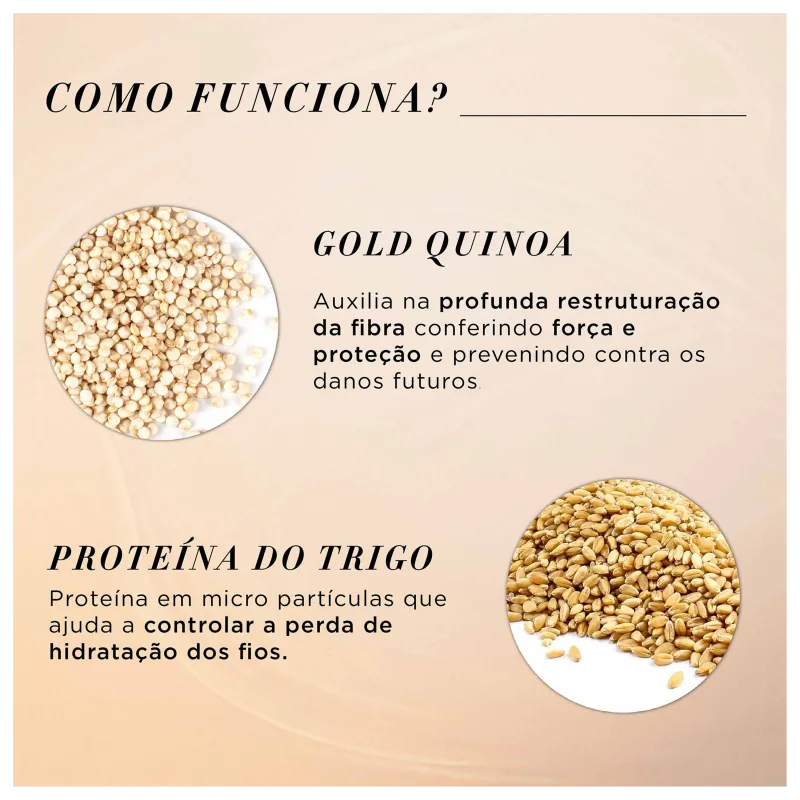 Kit L'Oréal Professionnel Serie Expert Absolut Repair Gold Quinoa + Protein Salon Trio (3 Produtos)